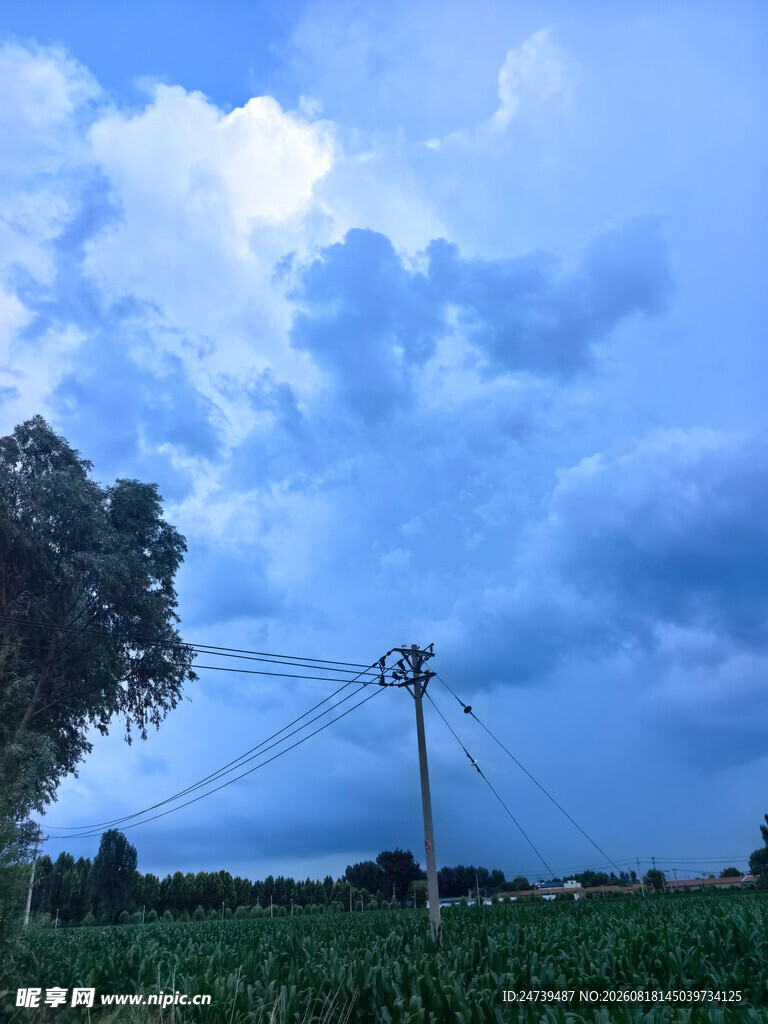 田野上空的阴云与电线杆