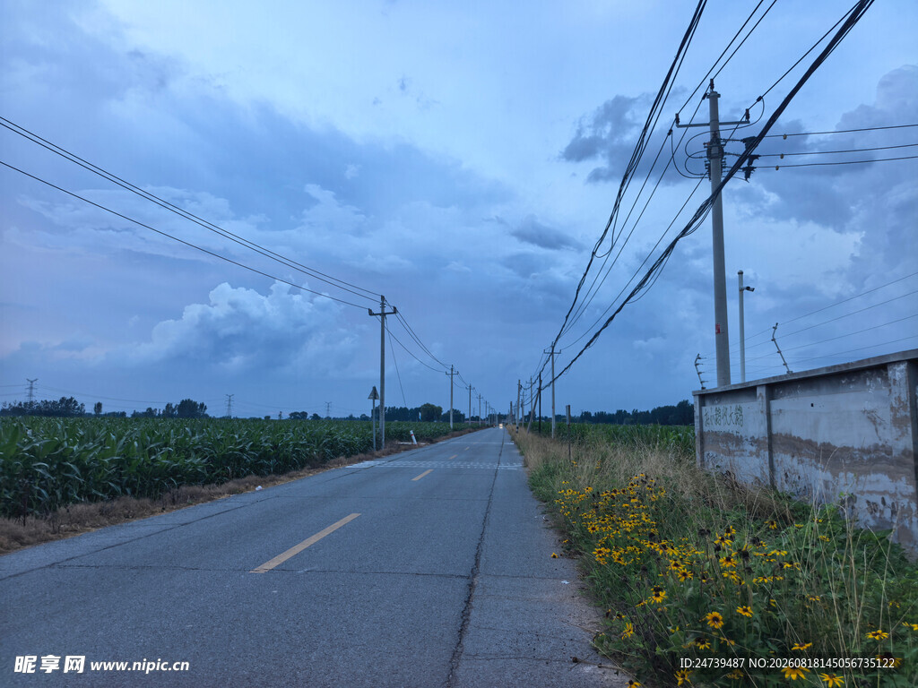 乡村公路边的美丽景致