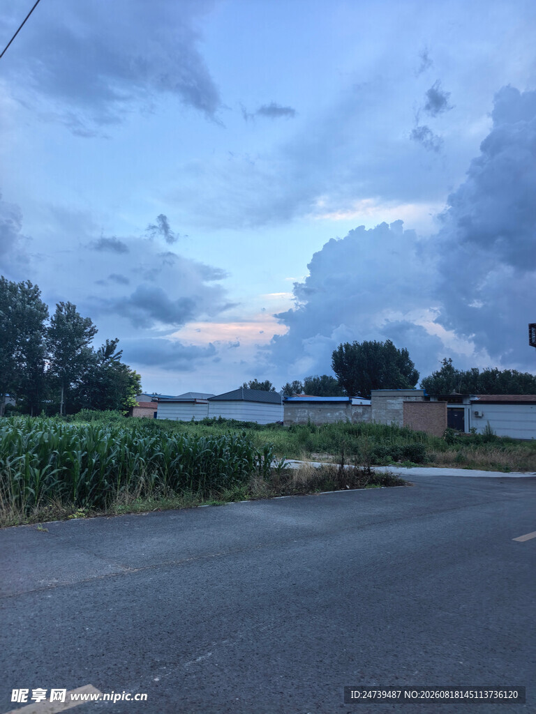 乡村公路边的黄昏景致