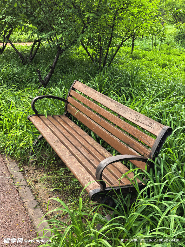 林间长椅静置于葱郁草地