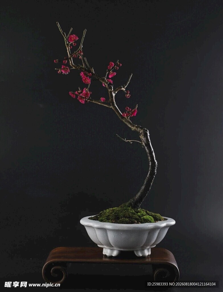 盆景