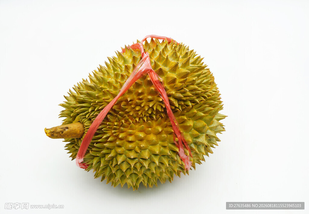 绑着红绳的新鲜榴莲
