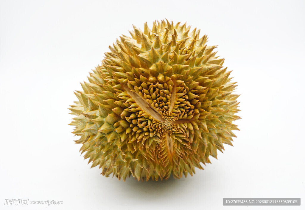金黄带刺的新鲜榴莲
