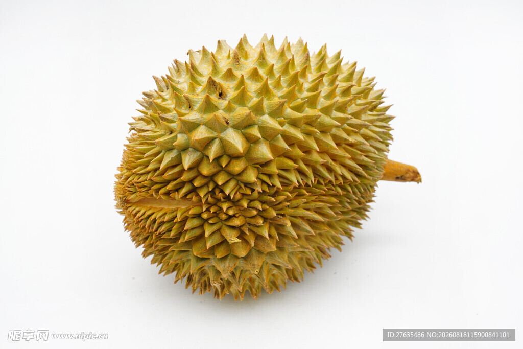 金黄饱满的新鲜榴莲