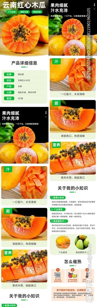 多样美味橙子食品展示