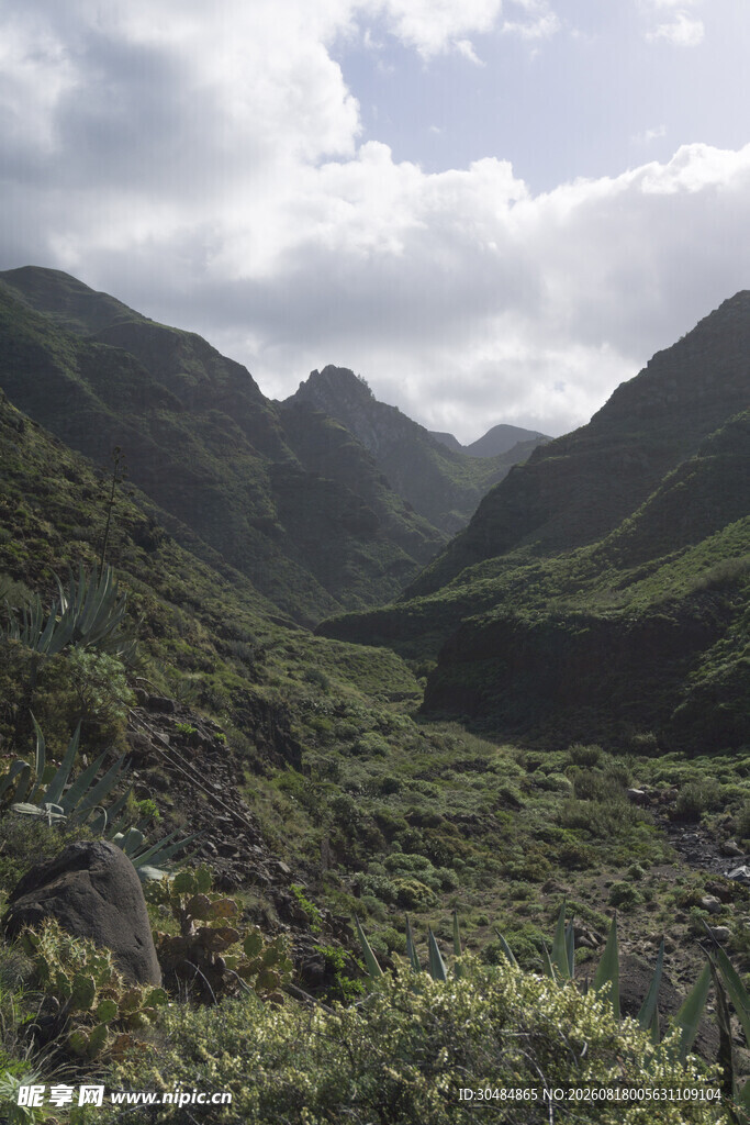 山间绿野美景