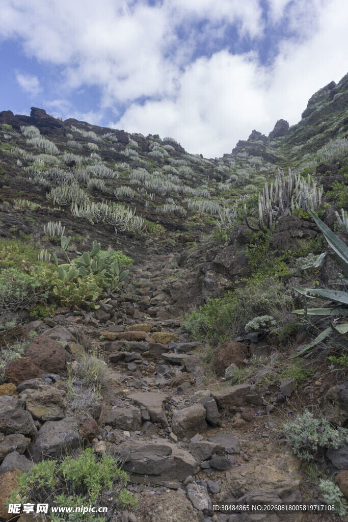 山间崎岖小径风景