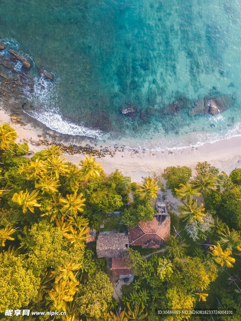 俯瞰海滨绿树环绕的景致