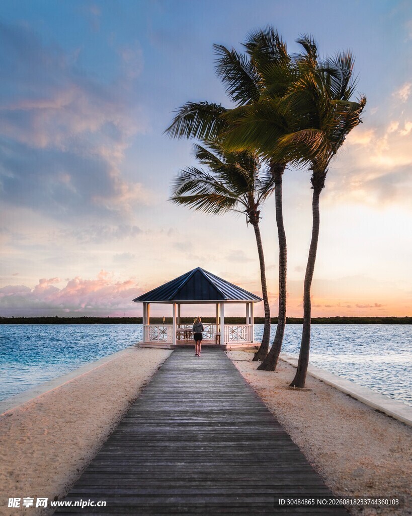 海边栈桥椰树日落美景
