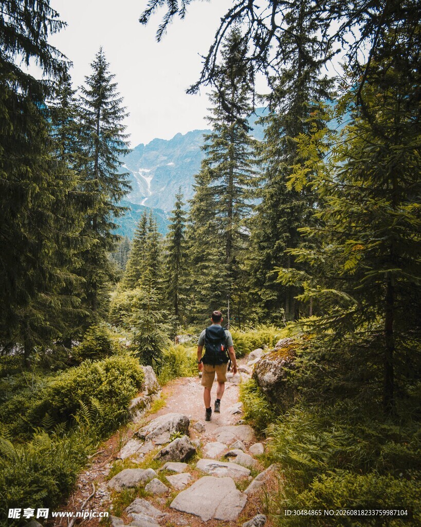 山林间徒步者的悠然之旅