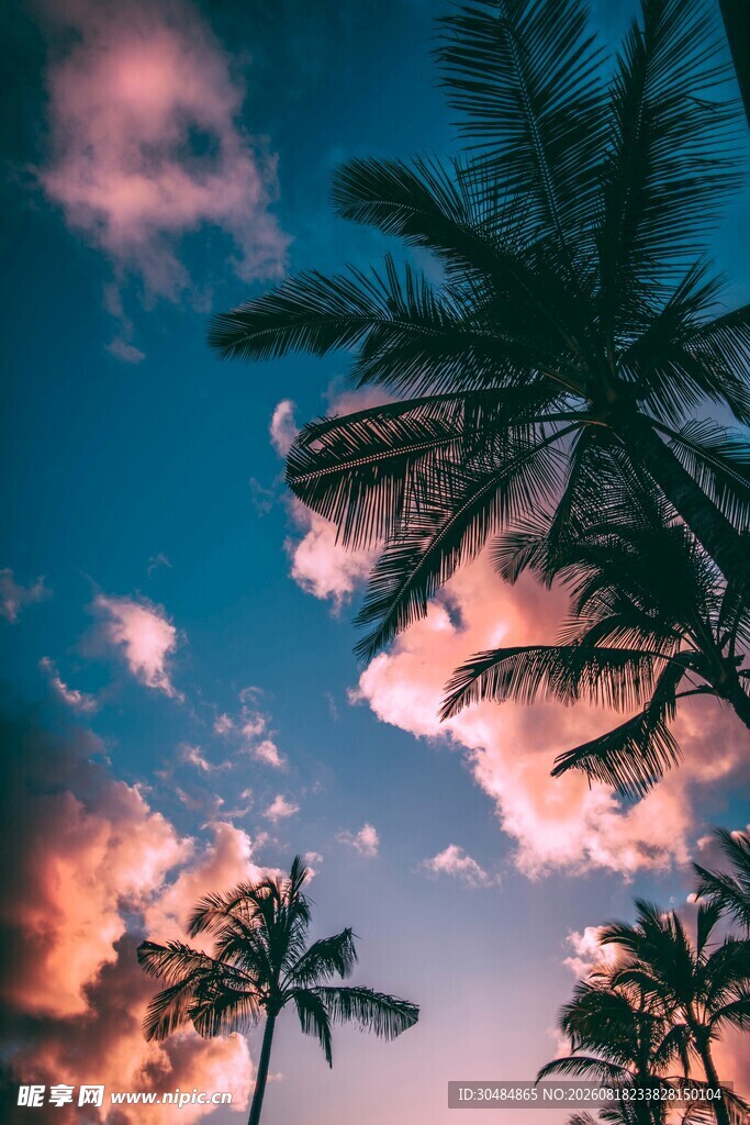 夕阳下的椰树与梦幻天空