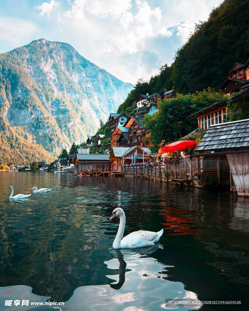 湖畔天鹅与山间美景