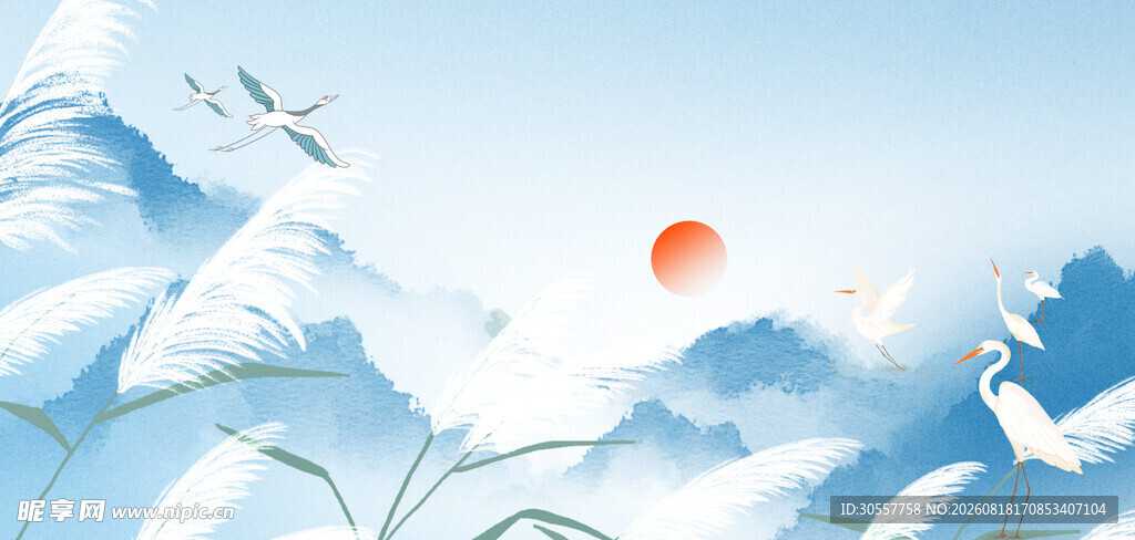 白露节气芦苇淡中国风背景