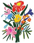 多彩手绘花卉插画