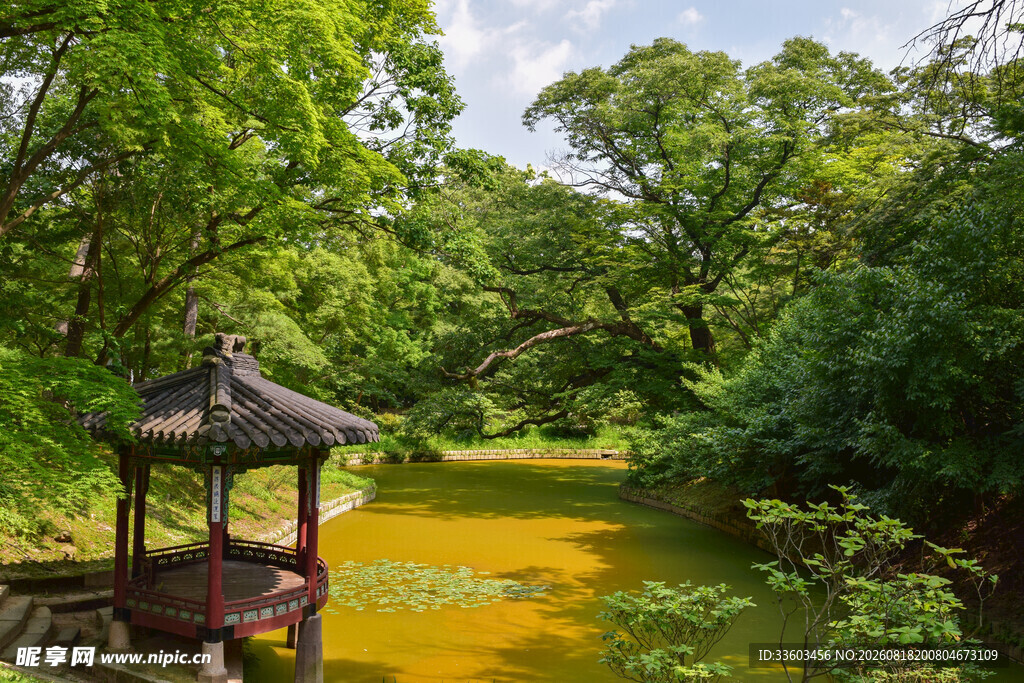 湖畔古亭绿意环绕之景
