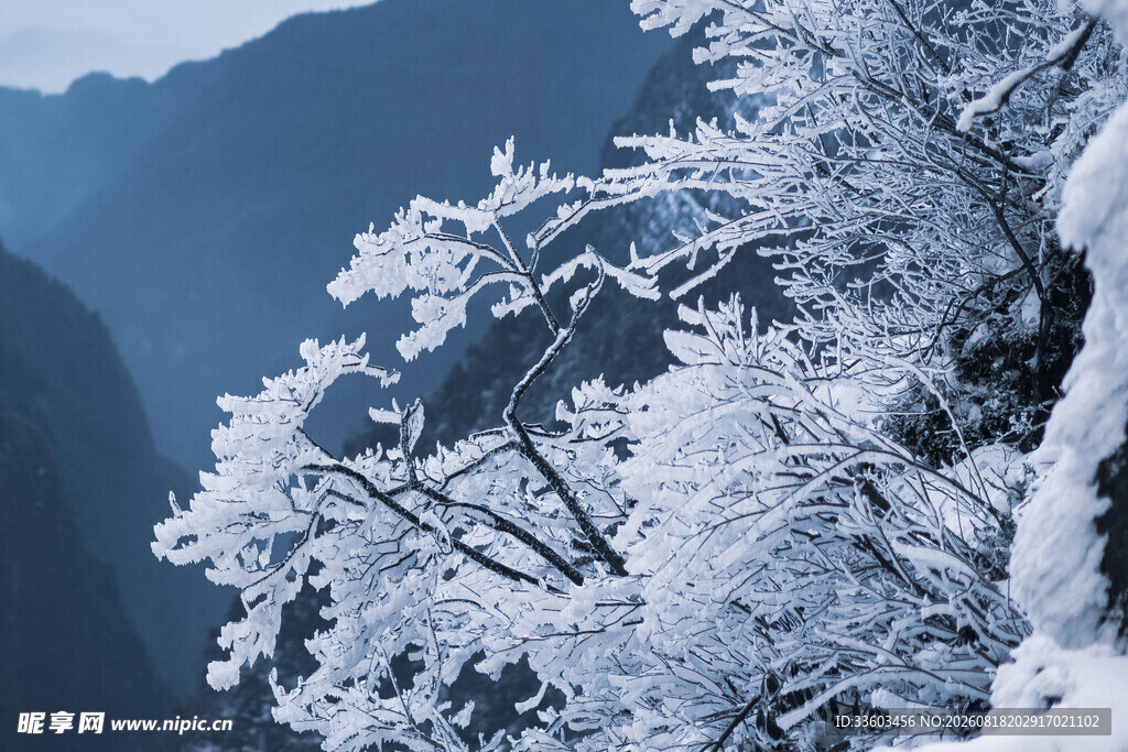 雪覆山峦枝头银装素裹