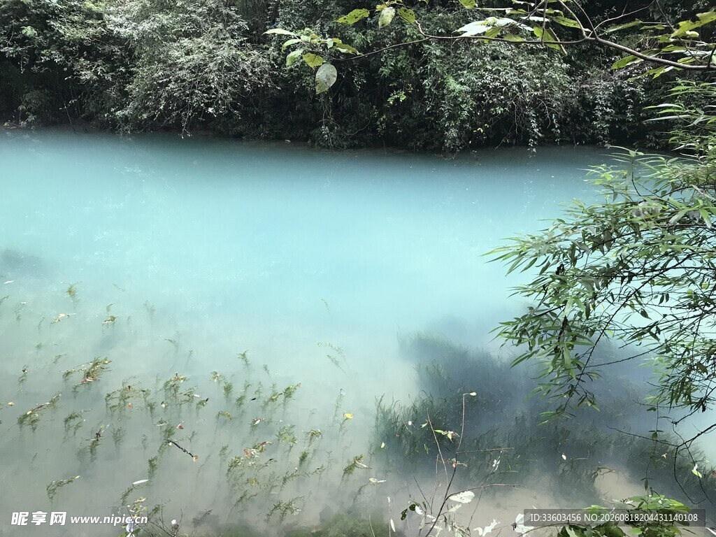 清澈蓝绿色溪流与绿植