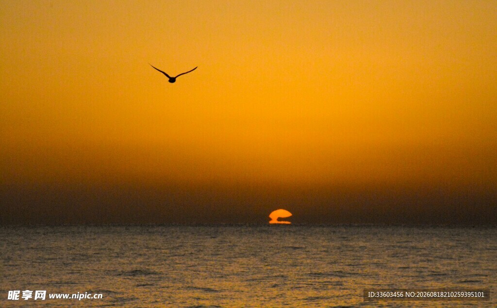 夕阳下海面飞鸟美景