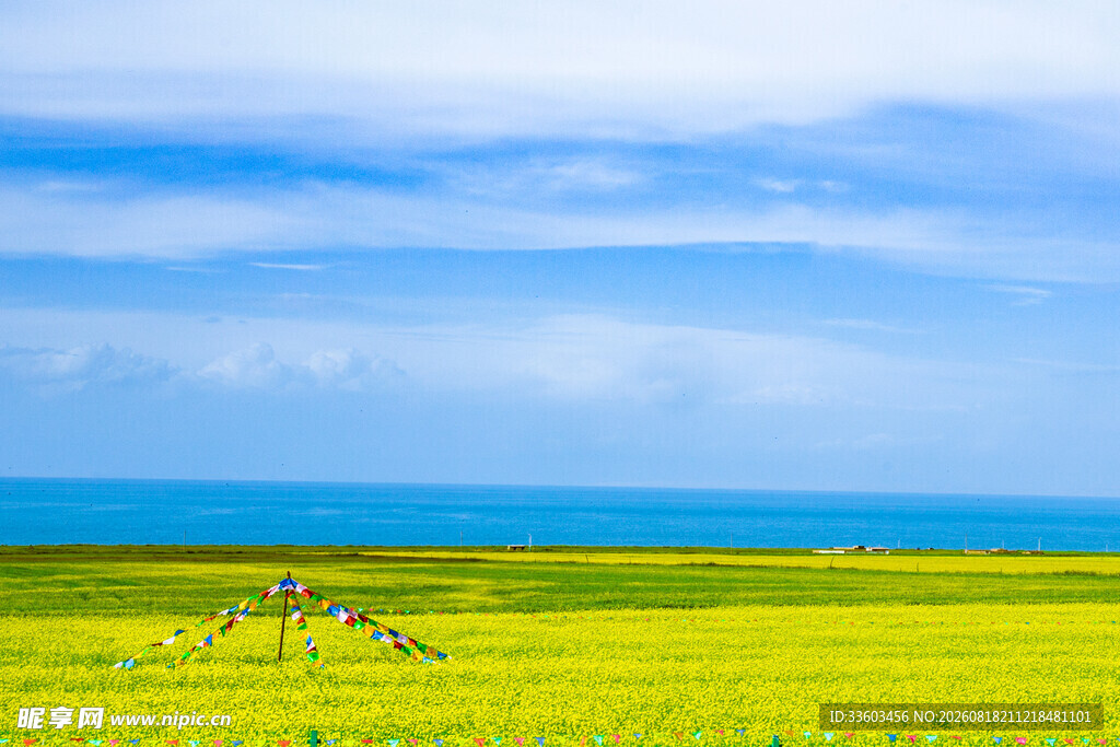 金黄田野与碧海蓝天美景