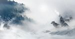 雪山雪景两只狼和鹿
