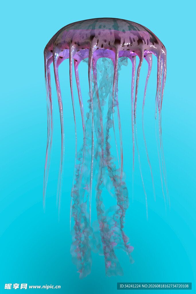 梦幻紫色水母在蓝色中游动