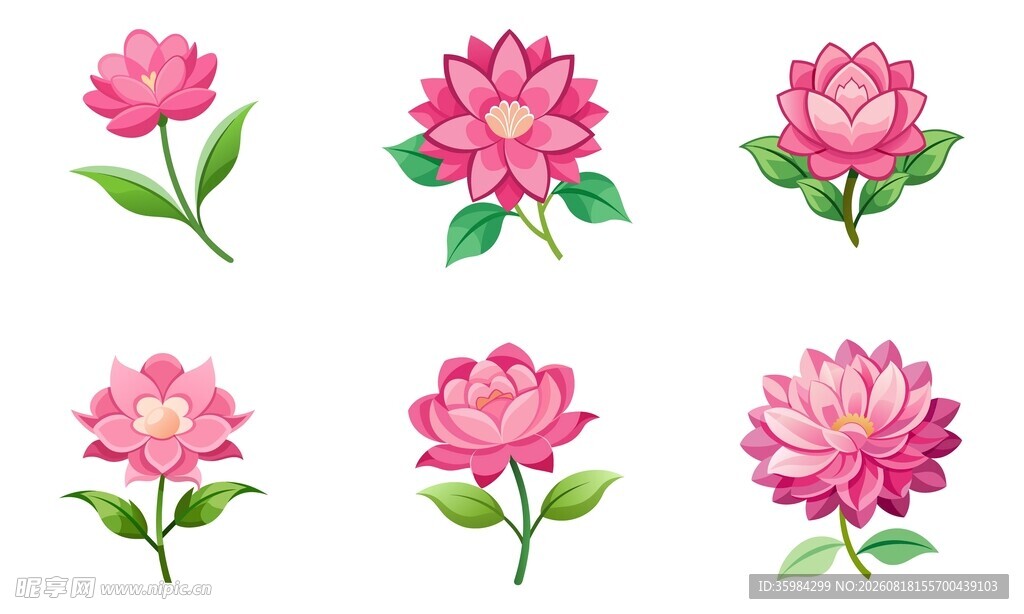 粉色花卉合集