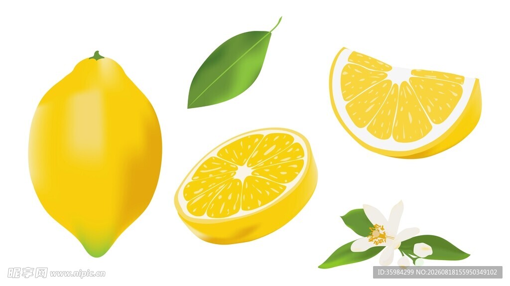 柠檬插画素材