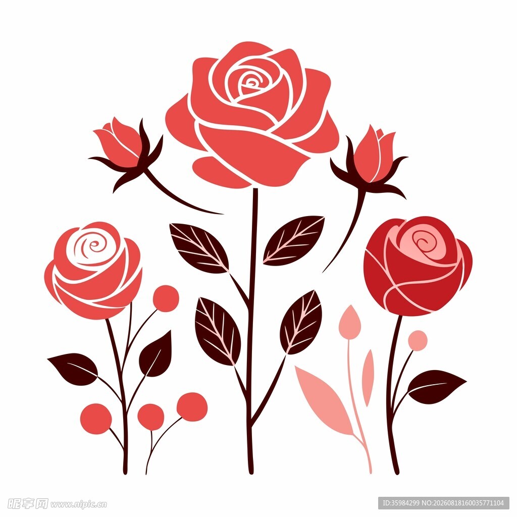 玫瑰插画素材
