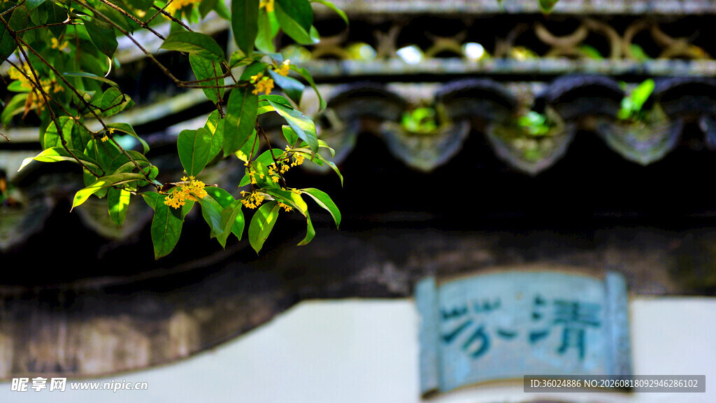 古建屋檐下的绿植与牌匾