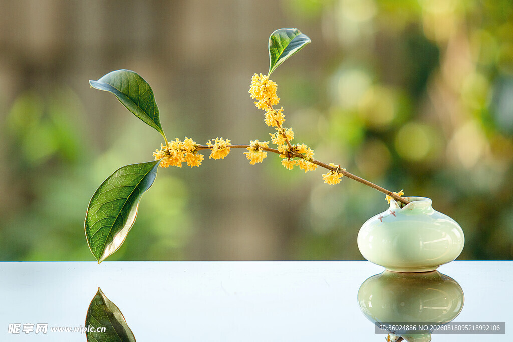 花瓶中绽放的黄色小花