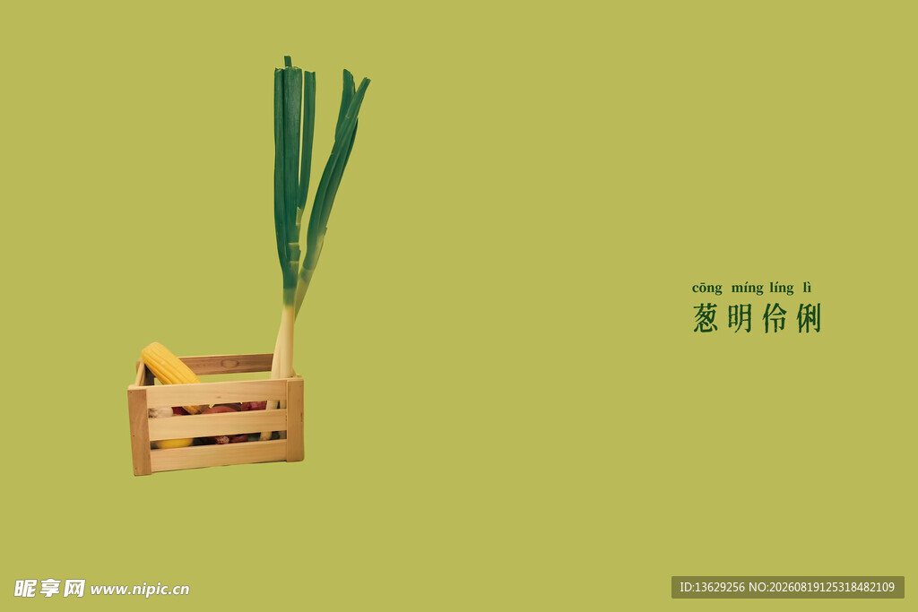 儿童写真