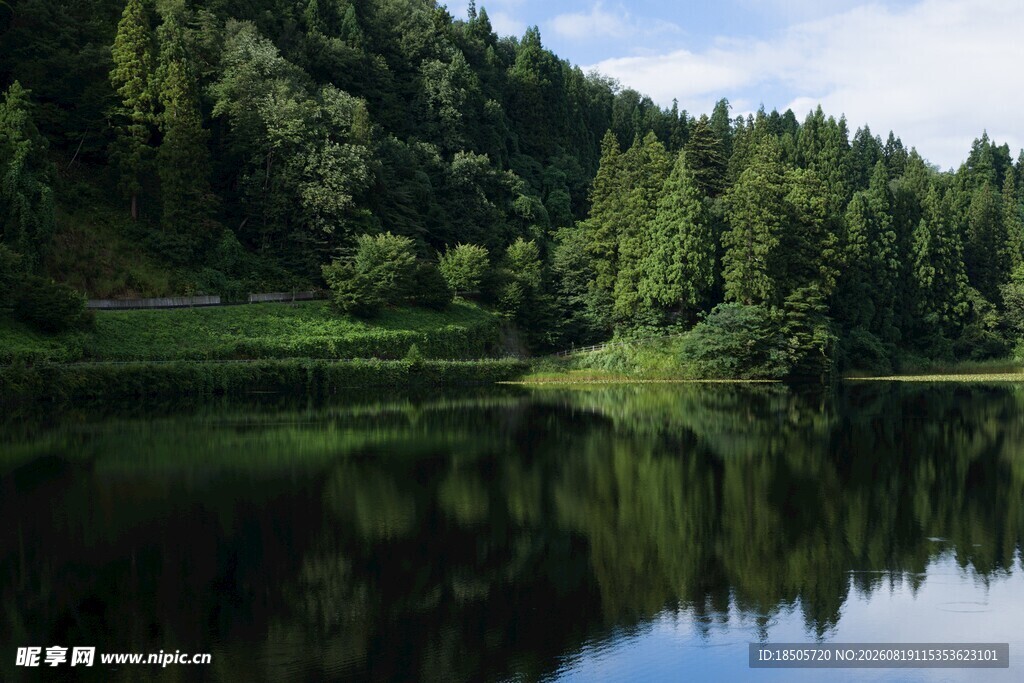 宁静湖畔森林倒影美景