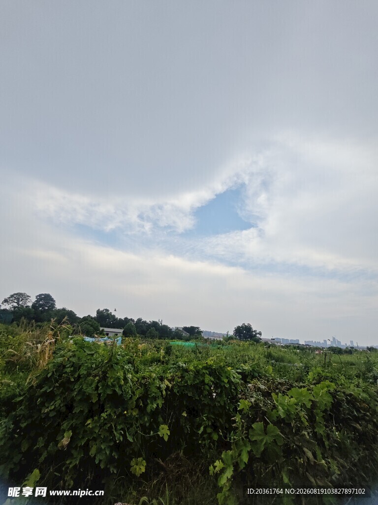 田野风光