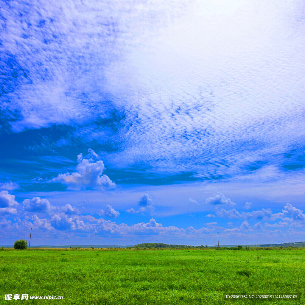 广阔绿野上的蔚蓝天空
