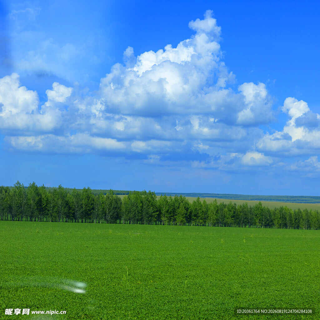 广袤绿野与蓝天绿树美景