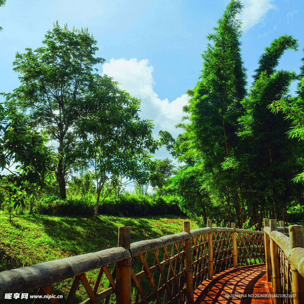 山间木栈道