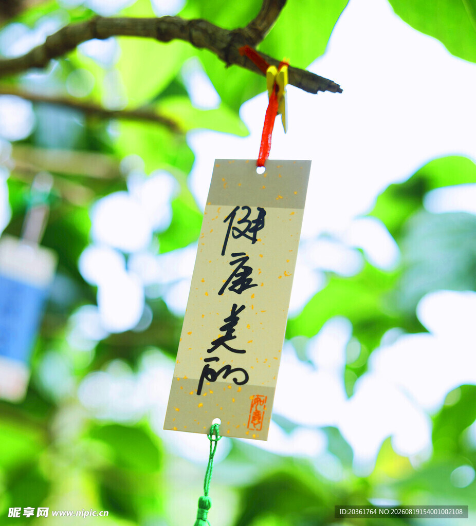 古风祈福牌挂于翠绿枝头