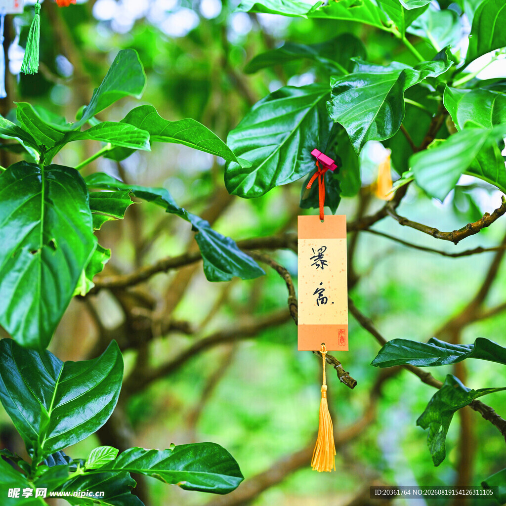 绿叶间的祈福牌