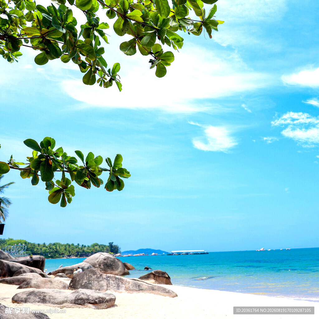 夏日海边美景