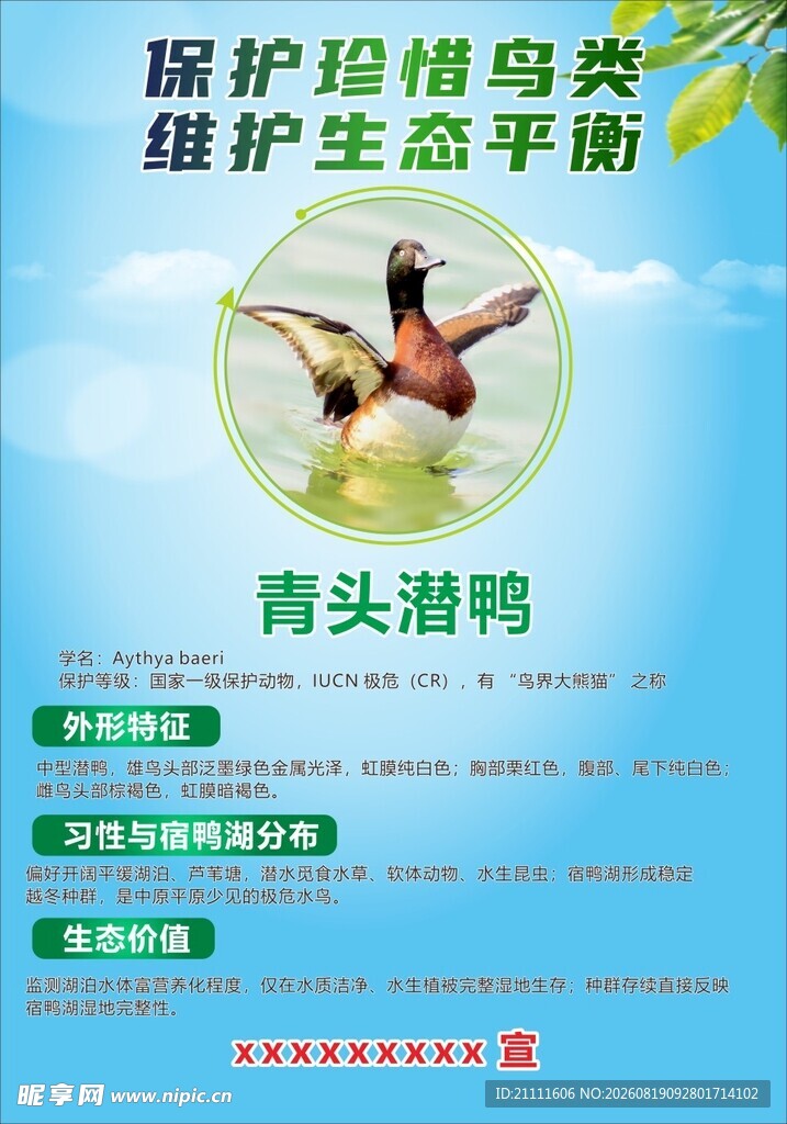 保护珍稀鸟类