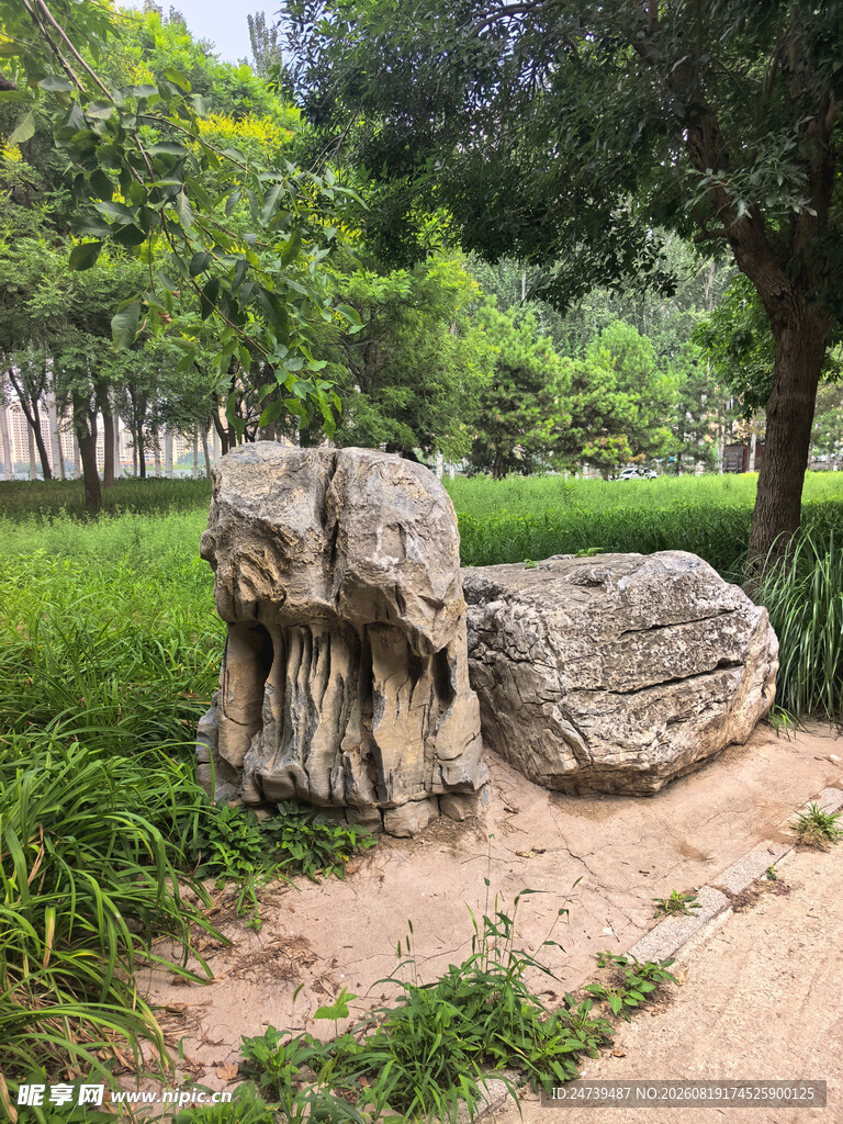 园林中的奇特造型景观石