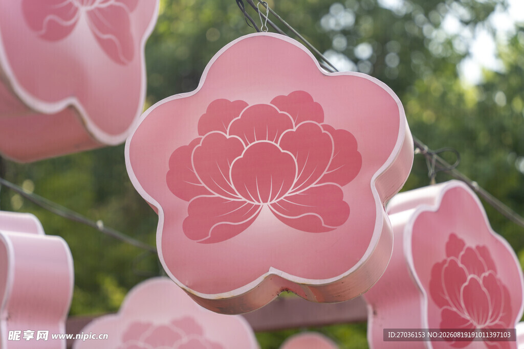 粉色花朵形纸灯笼