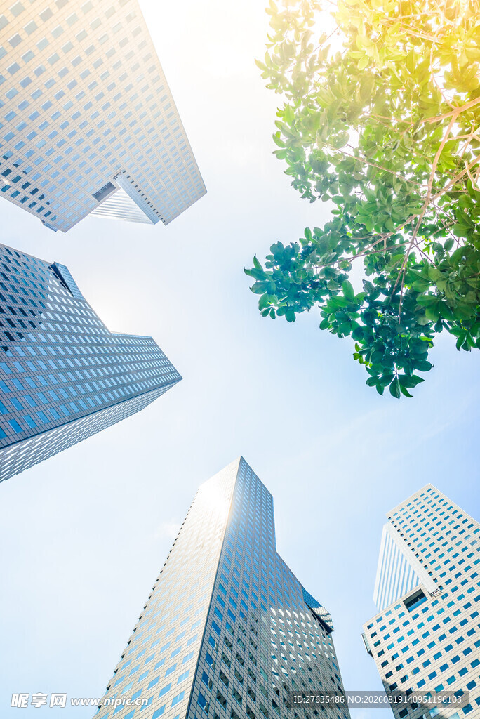 仰望都市高楼与葱郁绿树