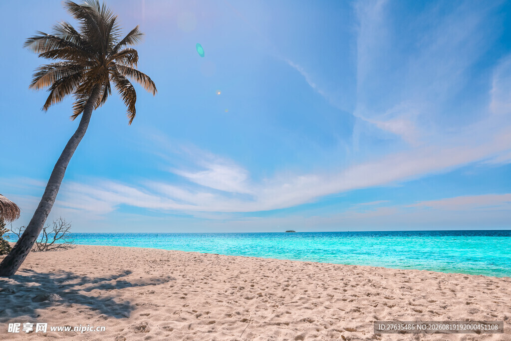 热带海滩美景椰树蓝天大海