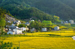 乡村田野间的美丽景致