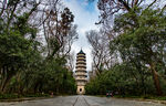 林间古塔静谧秀丽之景