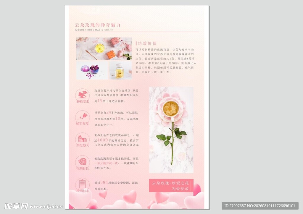 粉色浪漫花卉主题宣传页