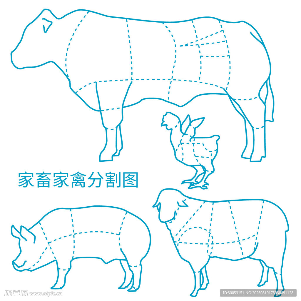 家畜家禽肉分割示意图