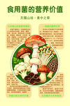 食用菌营养价值科普图
