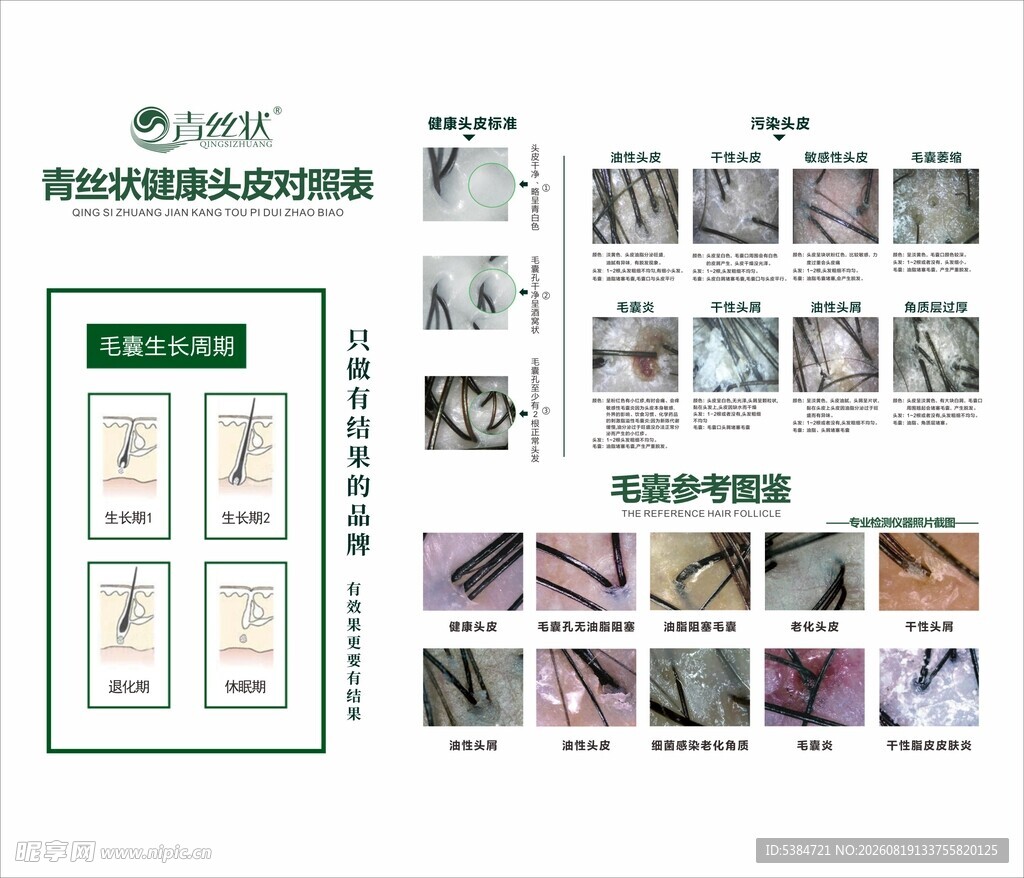 健康头皮标准